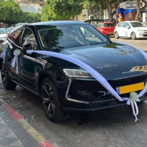 WEEDING CAR DECORATION