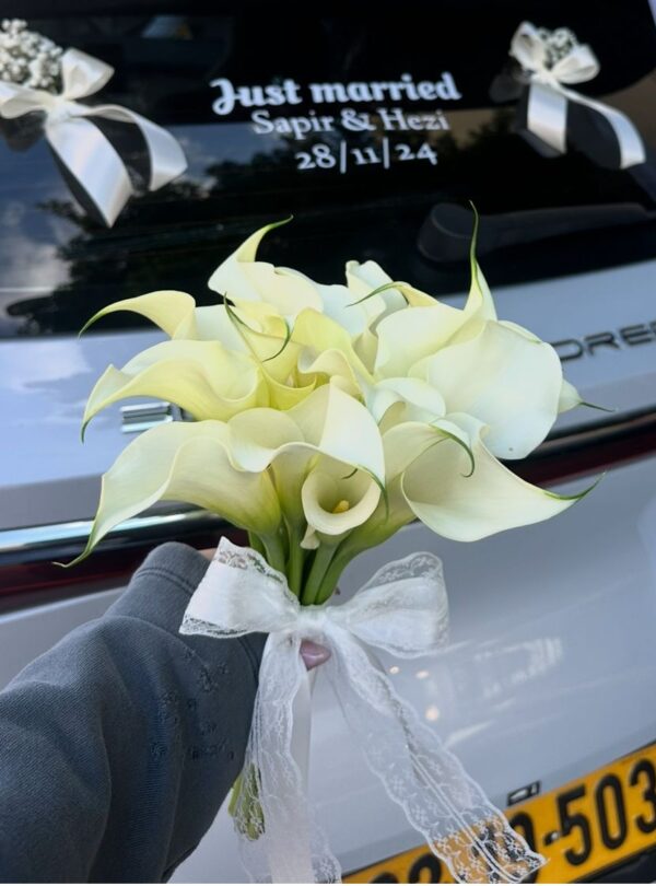 WhatsApp Image 2026-01-06 at 21.09.08-2