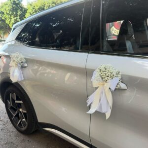 Just Married Car Design